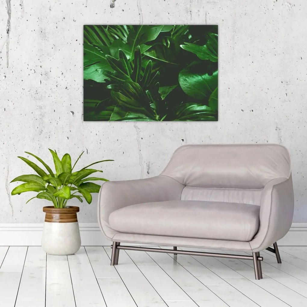 Sklenený obraz - Palmové listy (70x50 cm)