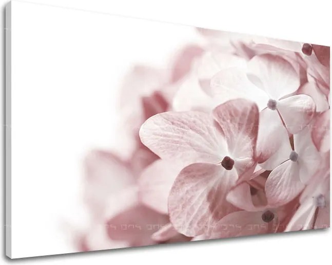 Obraz na stenu KVETY XOBKV114E11 - 60x90 cm