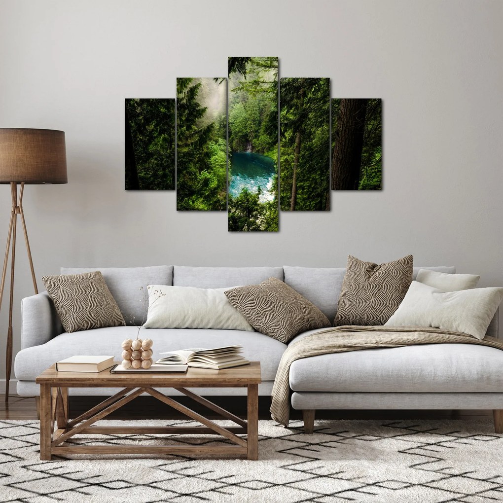 Obraz - Priezor medzi stromami (150x105 cm)