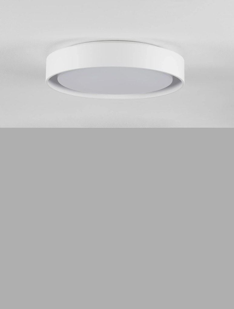 Novaluce Moderné stropné svietidlo Koi biele Farba: Biela, Teplota svetla: 3000K, Verzia: 48