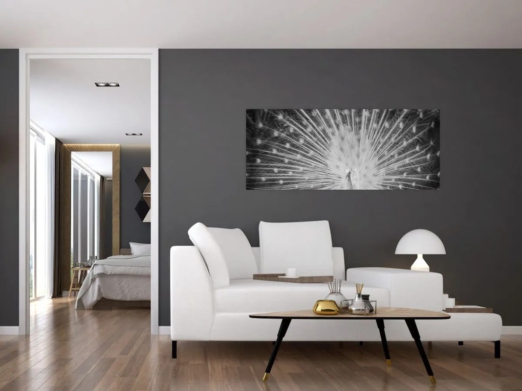 Obraz - Biely páv (120x50 cm)