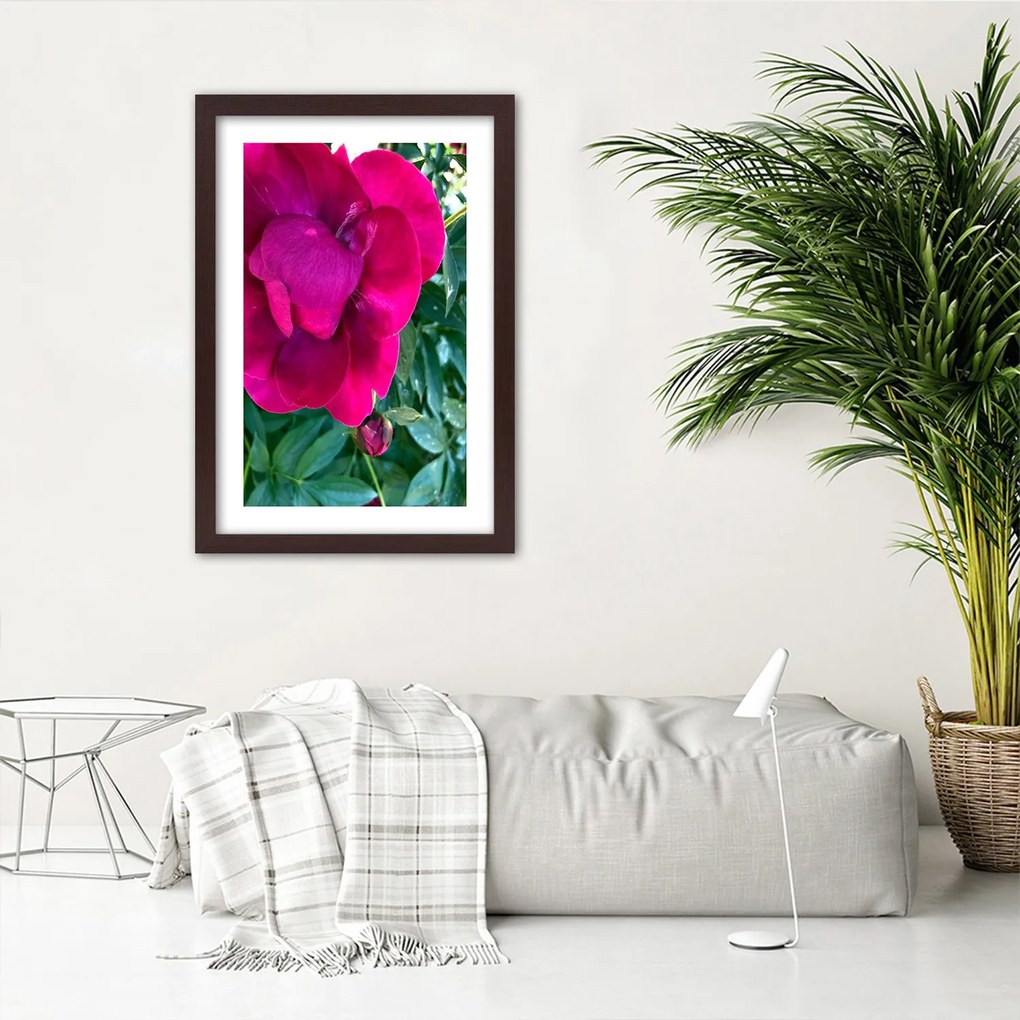 Gario Plagát Ružový veľký kvet Farba rámu: Bez rámu, Rozmery: 60 x 90 cm