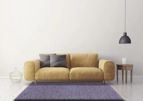 Koberce Breno Kusový koberec DOLCE VITA 01/LLL, fialová,160 x 230 cm