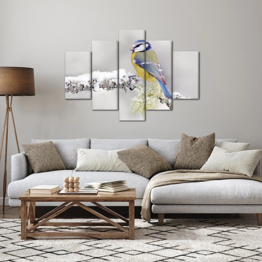 Obraz - Sýkorka modrinka v lese (150x105 cm)
