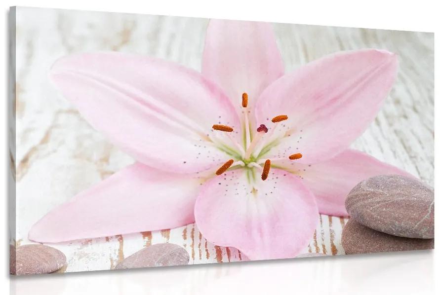 Obraz ružová ľalia a Zen kamene Varianta: 120x80