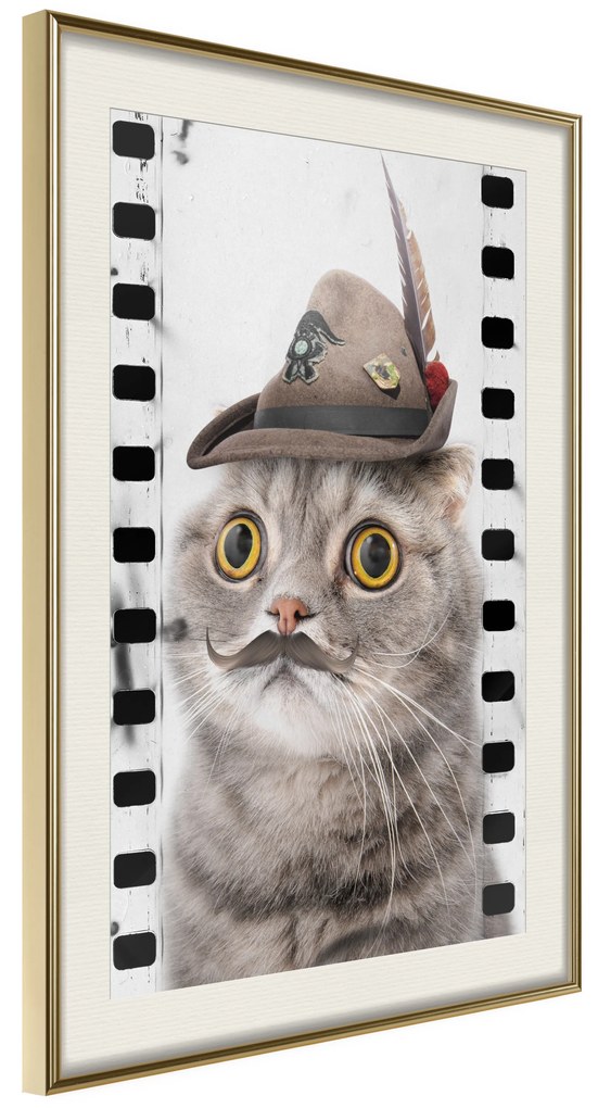 Artgeist Plagát - Cat In Hat [Poster] Veľkosť: 20x30, Verzia: Čierny rám s passe-partout