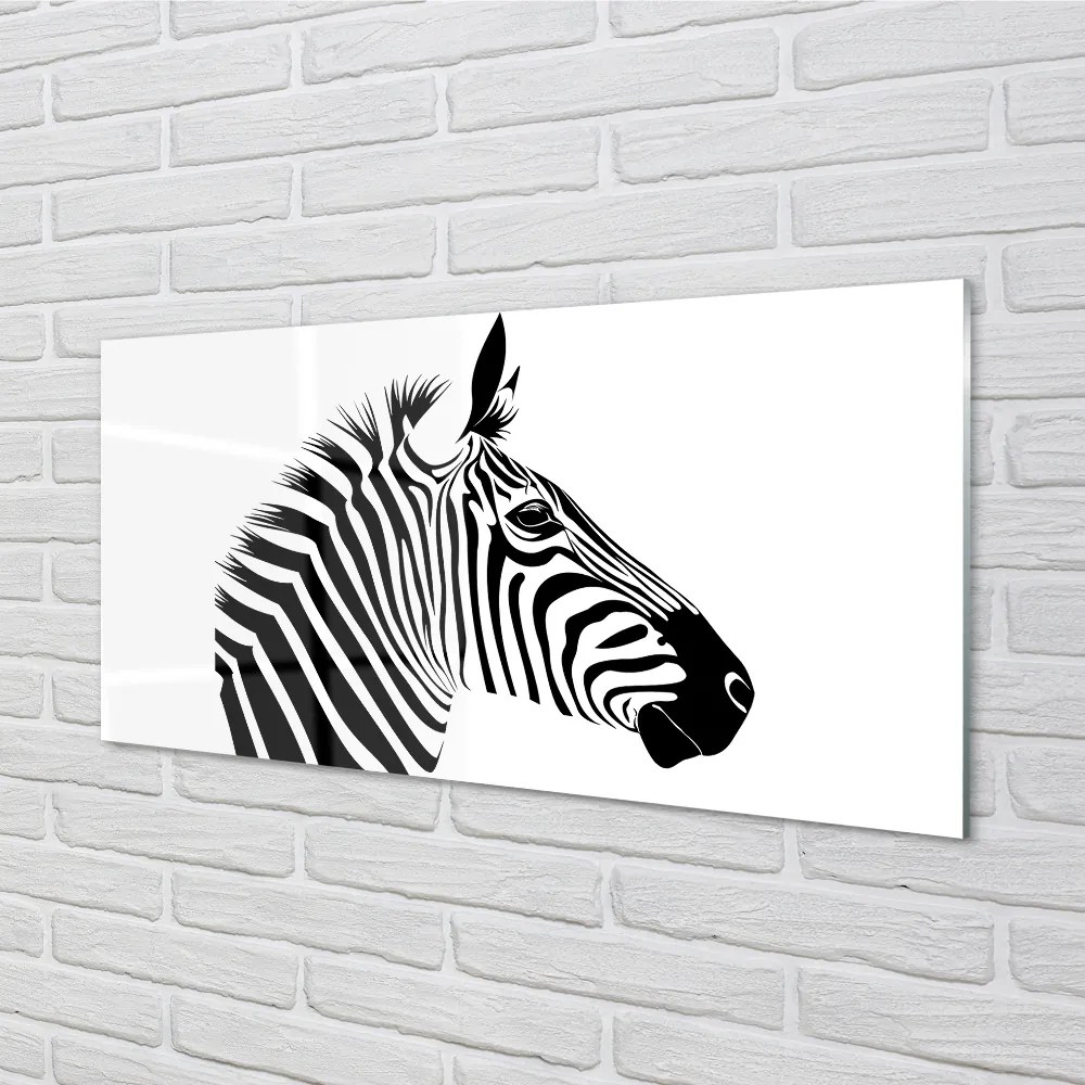 Nástenný panel  ilustrácie zebra 100x50 cm