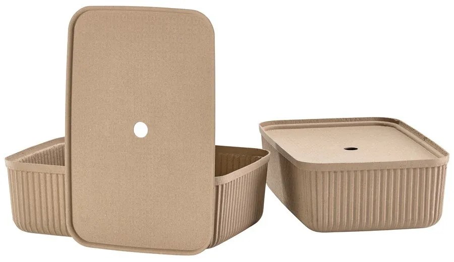 Košíky v súprave 2 ks 48x32x20.5 cm Pulp – Zone