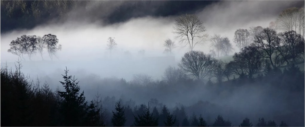 Obraz hmly nad lesom (120x50 cm)