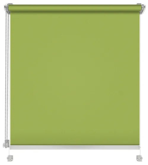 Gario Roleta Nástenná Standard Štruktúrovaná Jarná zelená Šírka: 107 cm, Výška: 150 cm