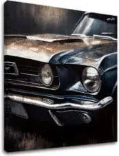 Dizajnová dekorácia na plátne Cválajúci americký sen