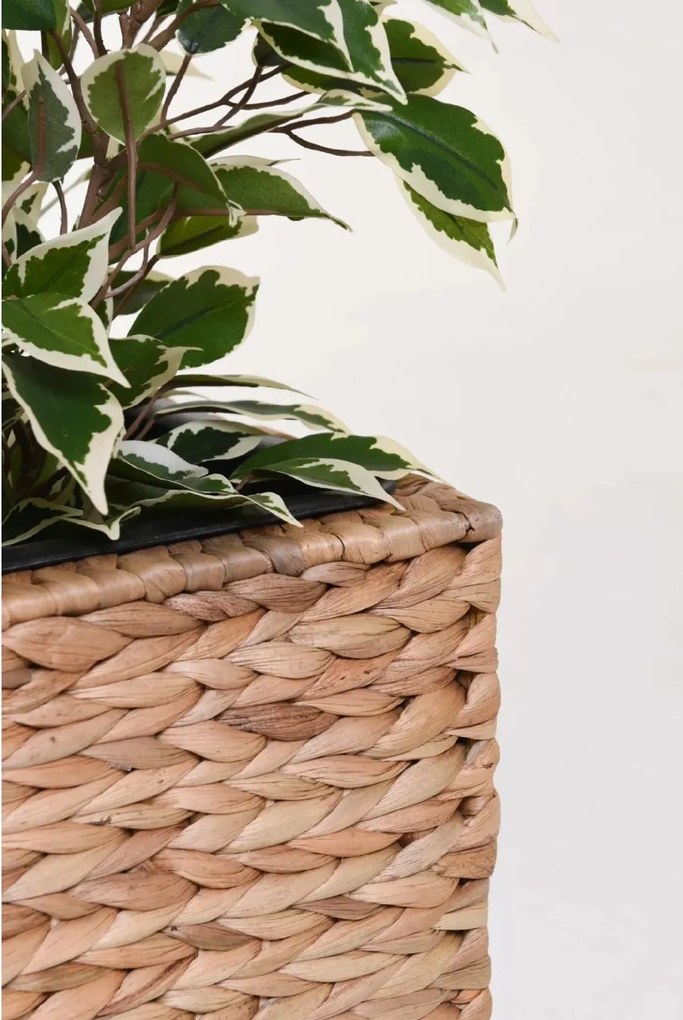 Kvetináč ASIA, vodný hyacint, výška 30 cm, natur