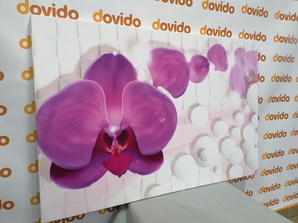 Obraz orchidea na abstraktnom pozadí Varianta: 120x80