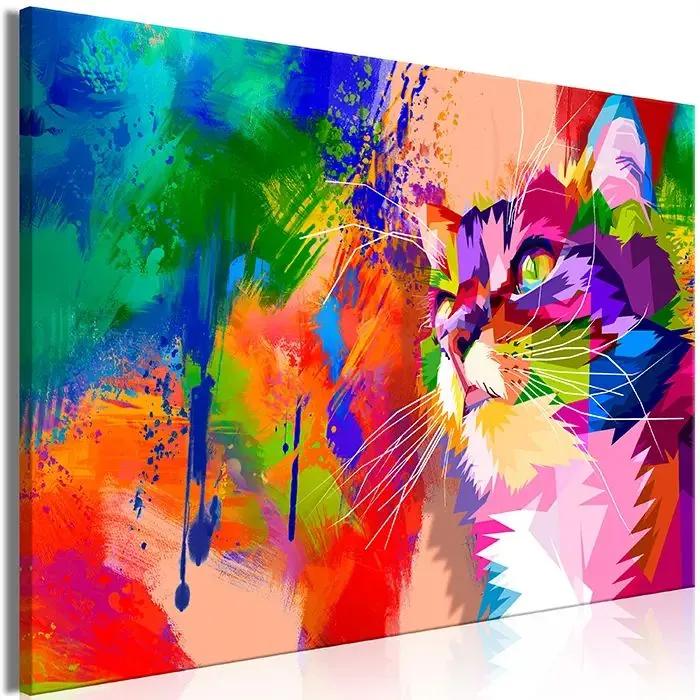 Obraz - Colourful Cat (1 Part) Wide Veľkosť: 90x60, Verzia: Na talianskom plátne
