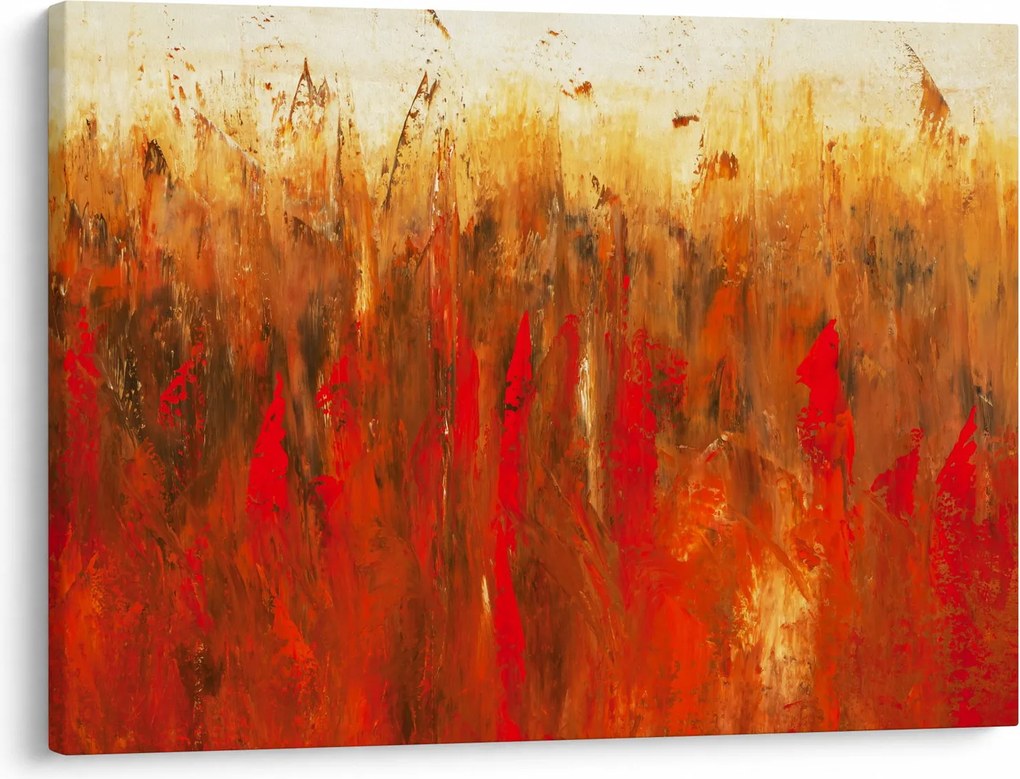 Obraz maľované abstrakcie (70x50 cm)