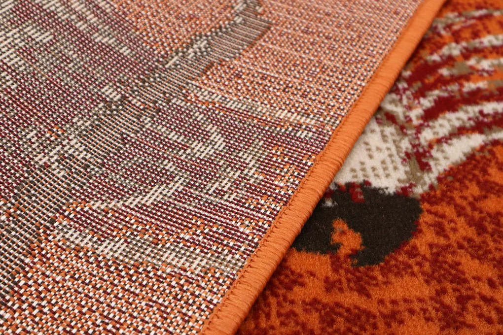 Alfa Carpets, TRHÁK: Kusový koberec Kakadu orange, 190x280, oranžová, detská izba