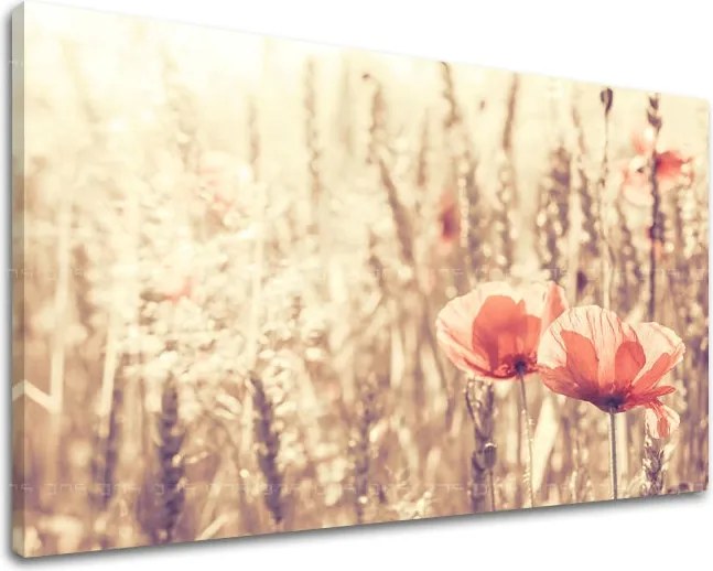 Obraz na stenu KVETY KV074E11 - 40x60 cm