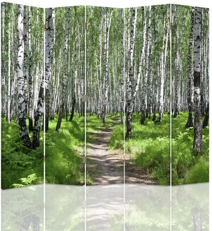 CARO Paraván - Birch Forest 2 | päťdielny | obojstranný 180x150 cm