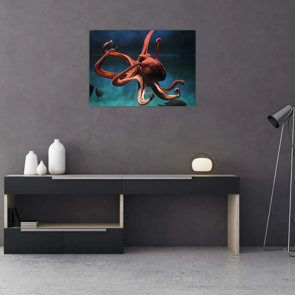 Obraz - Chobotnica (70x50 cm)