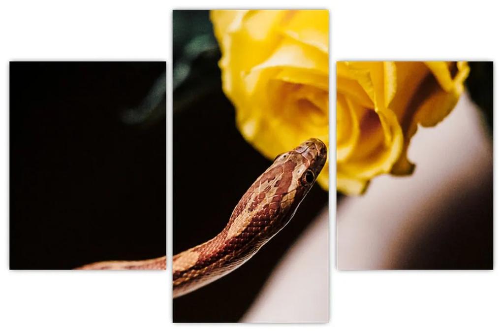 Obraz hada so žltou ružou