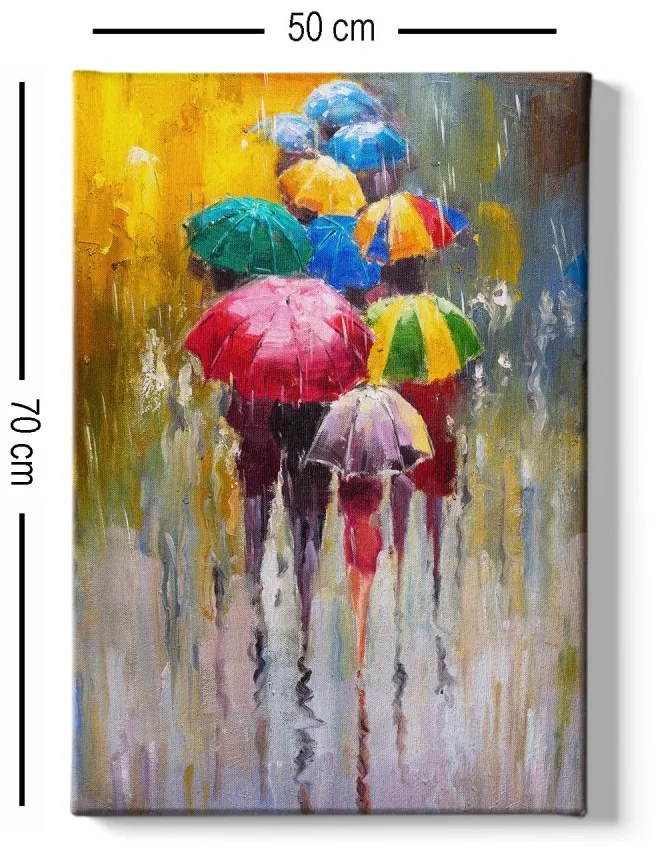 Obraz na plátne Raining rainbow 50x70 cm