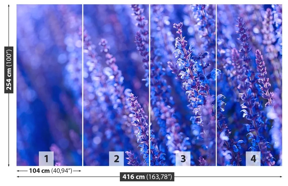 Fototapeta Vliesová Levanduľovej kvety 250x104 cm