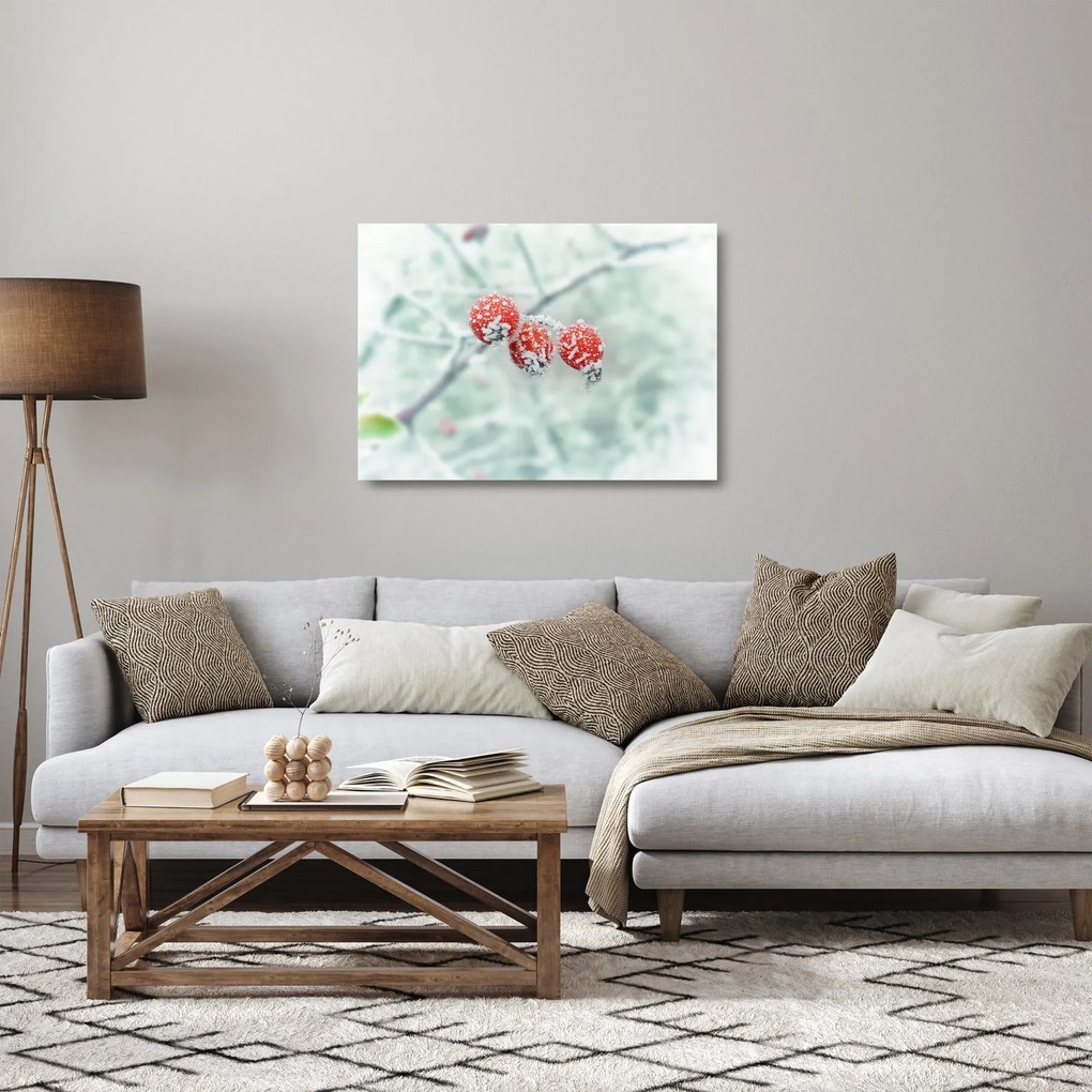 Sklenený obraz zmrznutých šípok (70x50 cm)