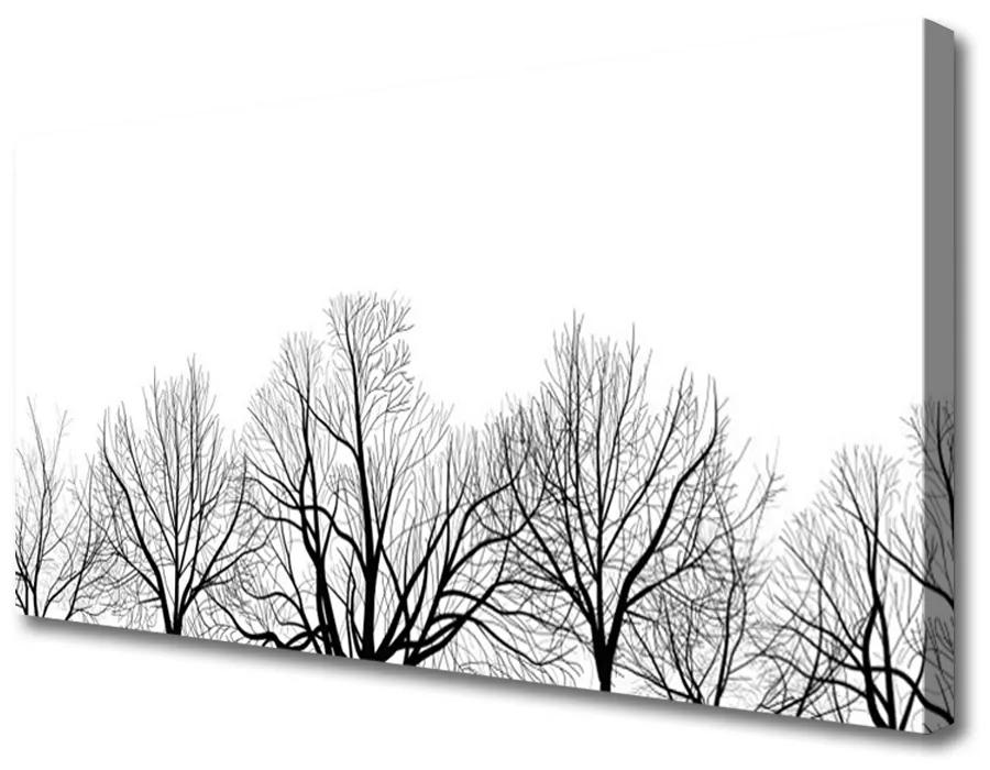 Obraz Canvas Stromy rastlina príroda 125x50 cm