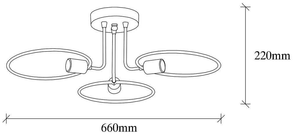 Circle - 1341