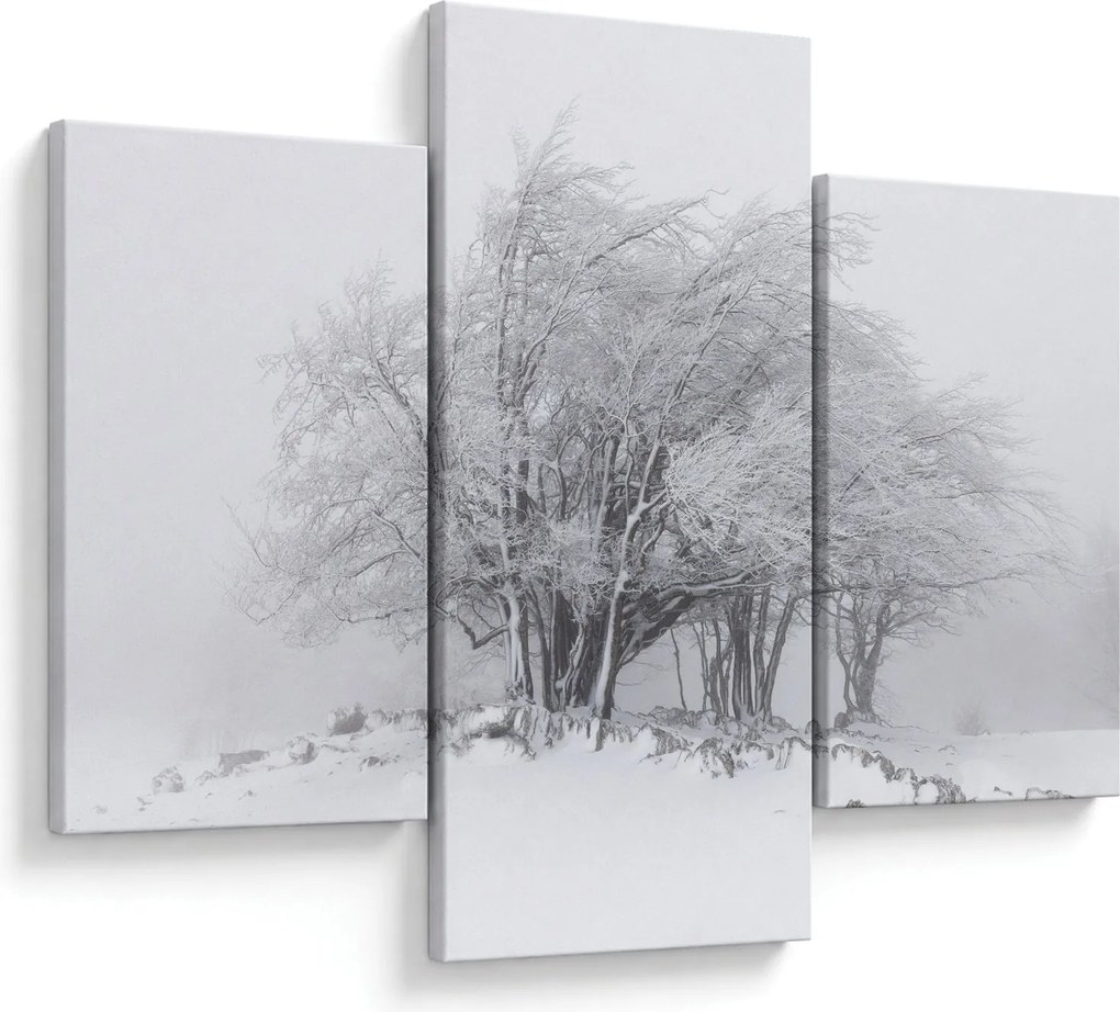 Obraz - Biela zima (90x60 cm)