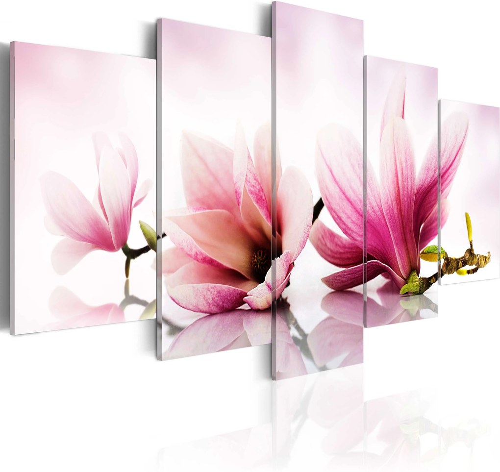 Obraz - Magnolias: pink flowers 100x50