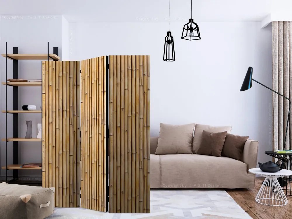 Artgeist Paraván - Amazonian Wall [Room Dividers]