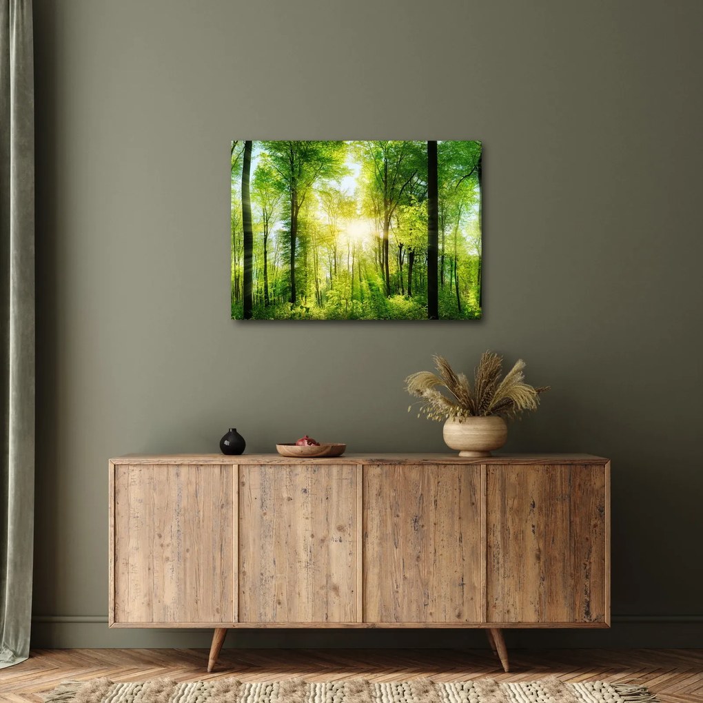 Obraz - Svitanie v lese (70x50 cm)