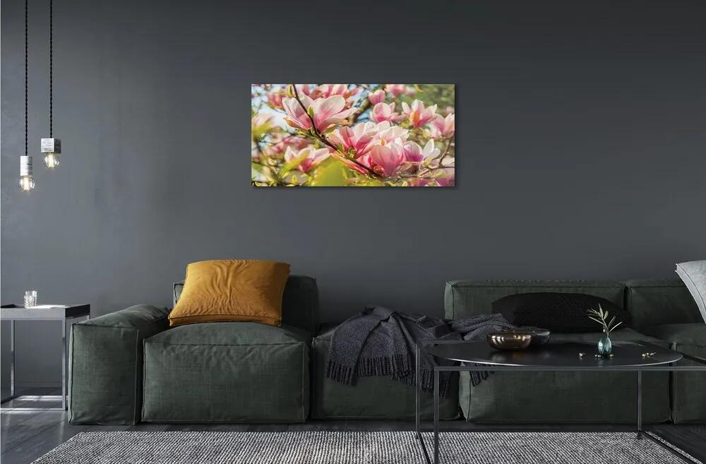 Sklenený obraz ružová magnólia 120x60 cm