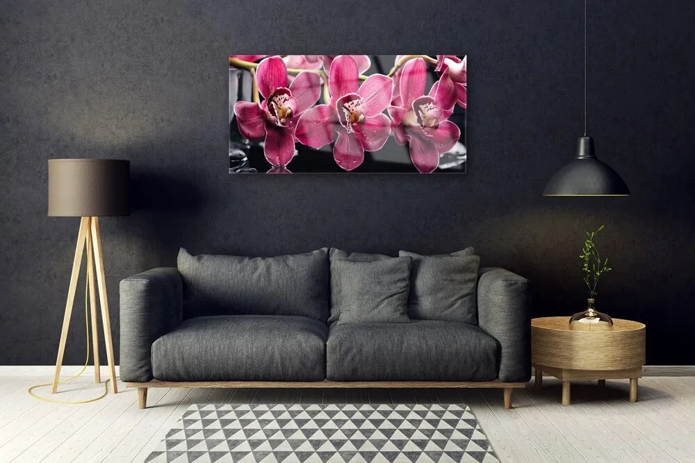 Obraz plexi Kvety orchidey výhonky príroda 100x50 cm