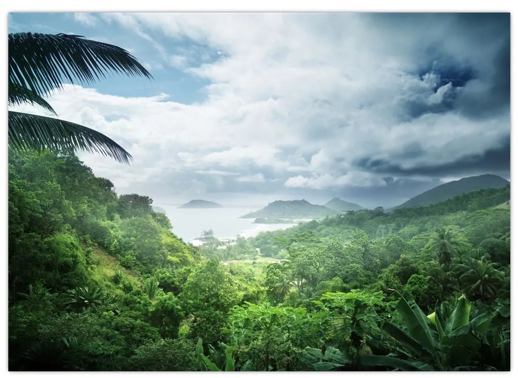 Obraz - Seychelská jungle (70x50 cm)
