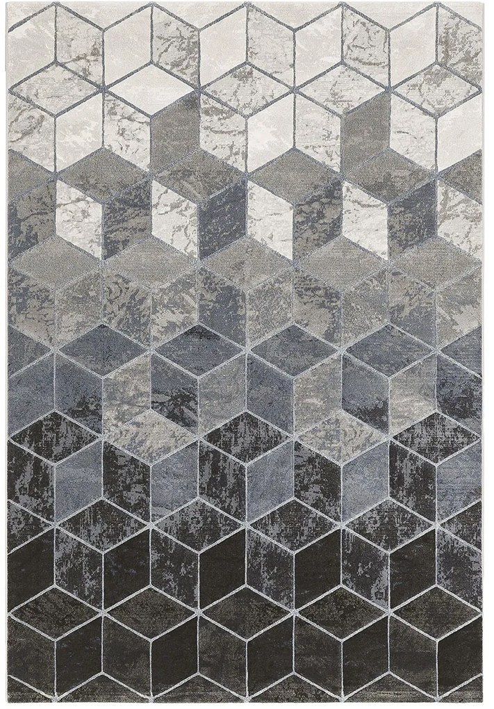 Koberce Breno Kusový koberec ARGENTUM 63488/6656, viacfarebná,80 x 150 cm