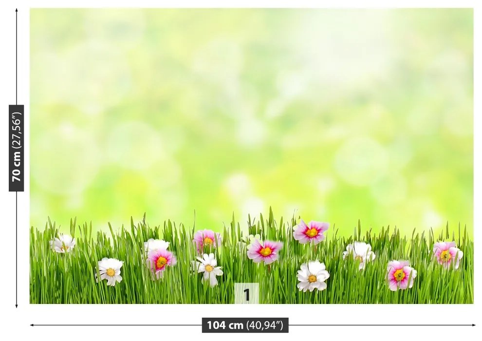 Fototapeta Vliesová Tráva kvety 104x70 cm