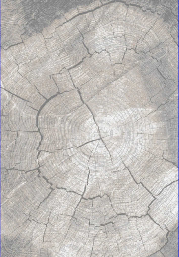 TA Koberec RE41A SVETLO BÉŽOVÁ COMO HBY Rozmer: 120x170 cm