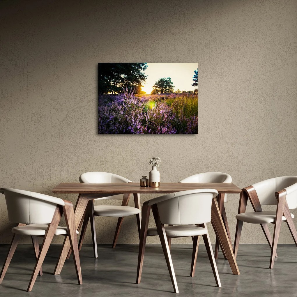 Obraz poľa levanduľou (70x50 cm)
