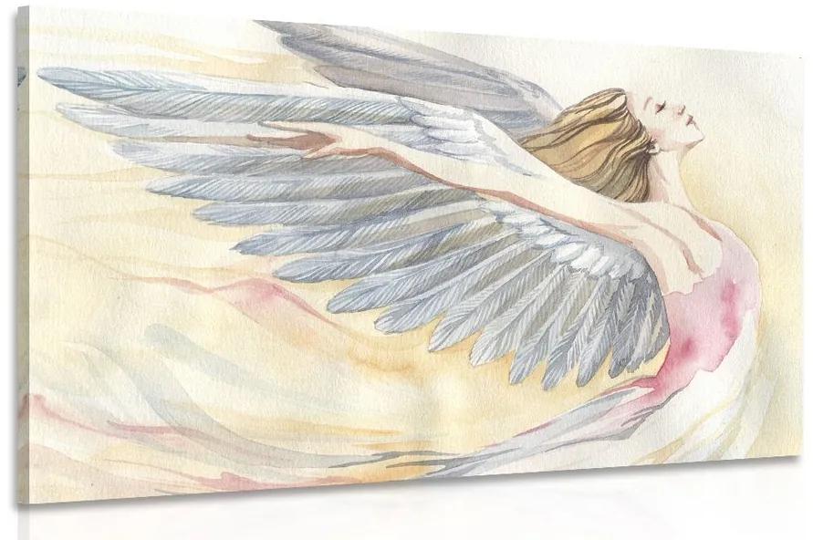 Obraz slobodný anjel Varianta: 90x60