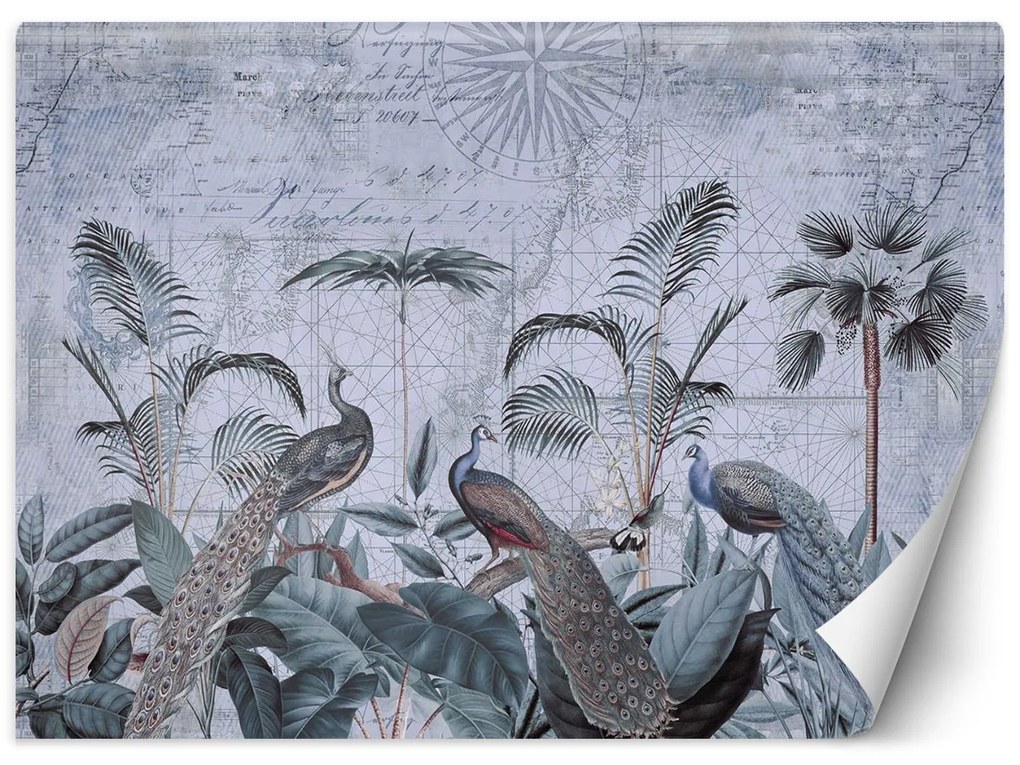 Gario Fototapeta Pávy v trópoch - Andrea Haase Materiál: Vliesová, Rozmery: 100 x 70 cm