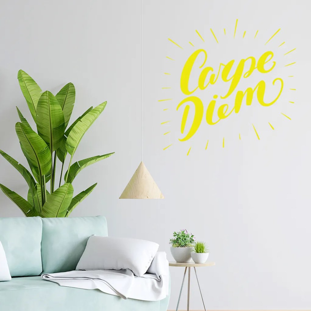 Veselá Stena Samolepka Carpe Diem (Užívaj dňa) Farba: biela, Veľkosť: 40 x 40 cm