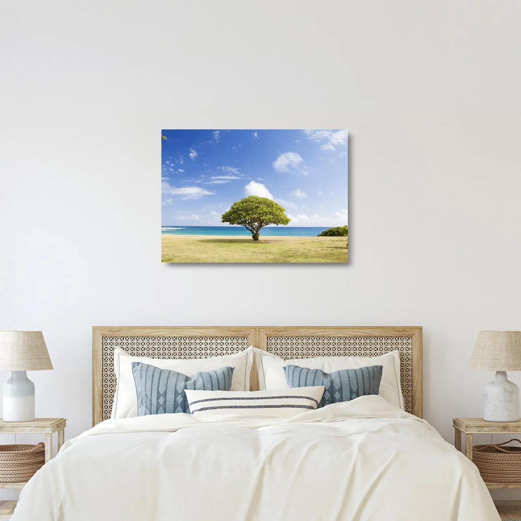 Sklenený obraz pláže so stromom (70x50 cm)