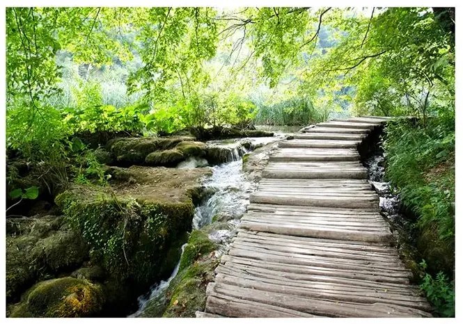 Fototapeta - Forest path Veľkosť: 450x315, Verzia: Premium