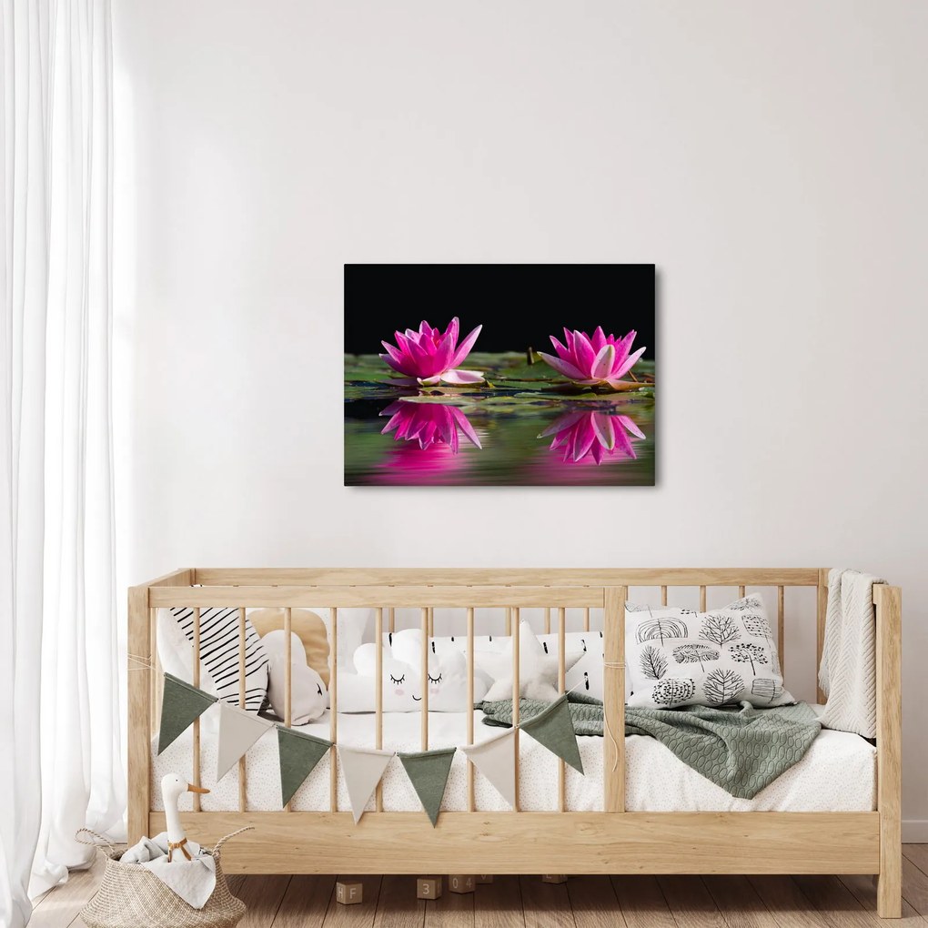 Obraz lekien na vode (70x50 cm)