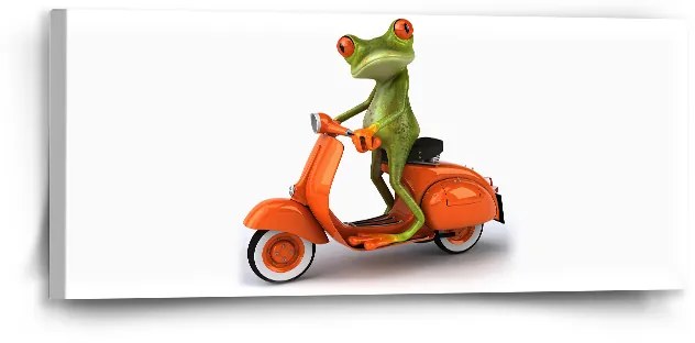 Sablio Obraz Žaba na motorke - 110x50 cm
