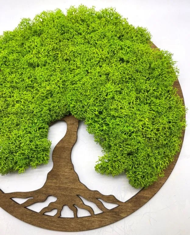 Strom na stenu z machu Gelsey 30 cm