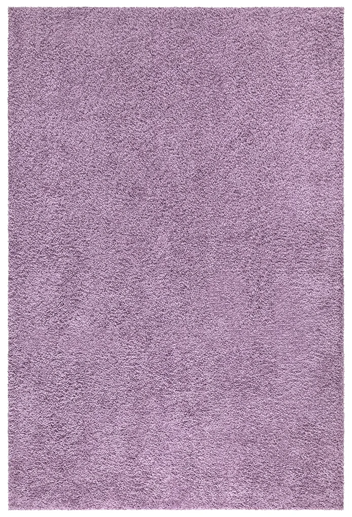 Dekorstudio Shaggy koberec CITY 500 fialový Rozmer koberca: 60x110cm