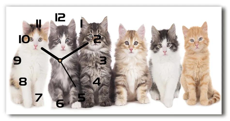 Vodorovné Moderné sklenené hodiny na stenu Šesť mačiek pl_zsp_60x30_f_57635875